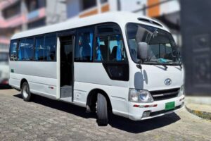Hyundai county