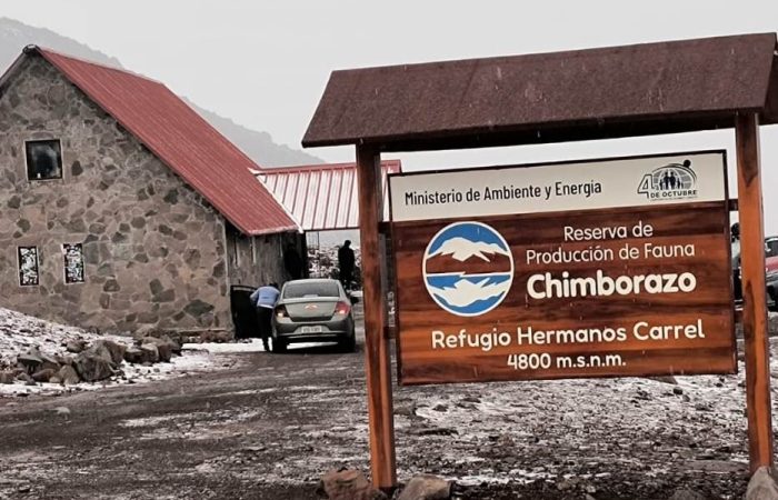 Transporte turistico dacartours (36)