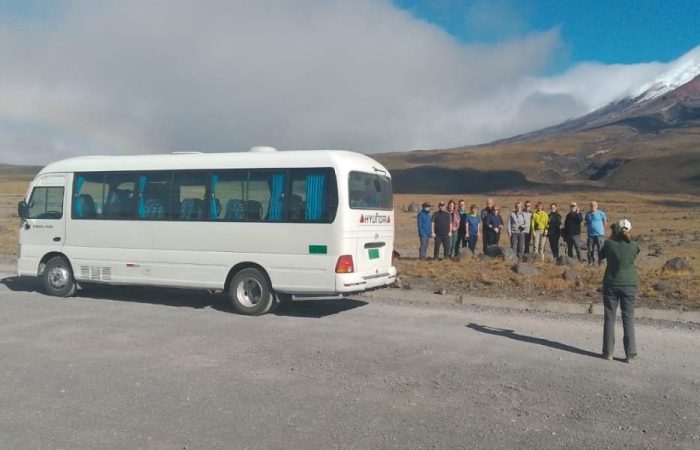 Transporte turistico dacartours (39)