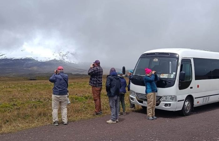 Transporte turistico dacartours (42)